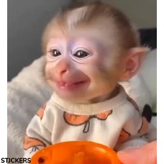 😃