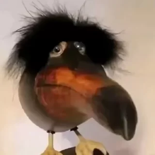 😳