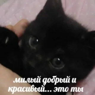 💋