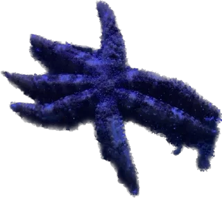 💙