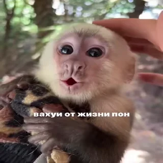😮