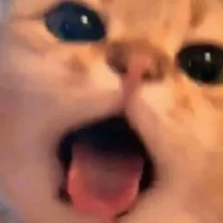 👄