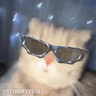 😎