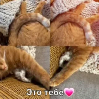 😄