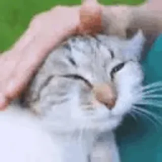 🤗