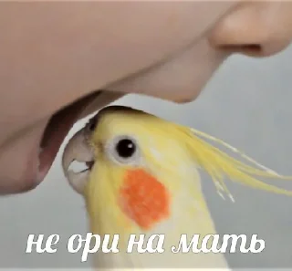 🗣