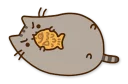🍪