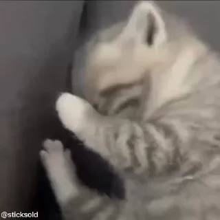 😴