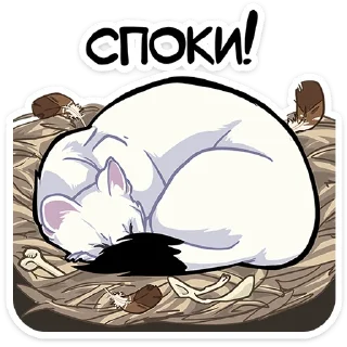 😴