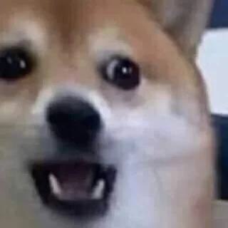 😱