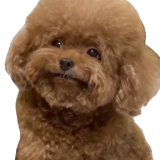 😐
