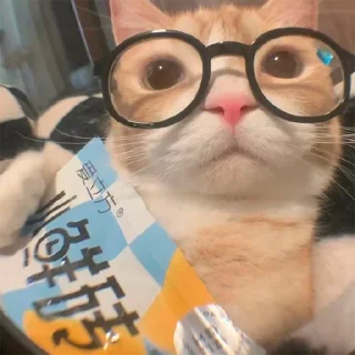🤓