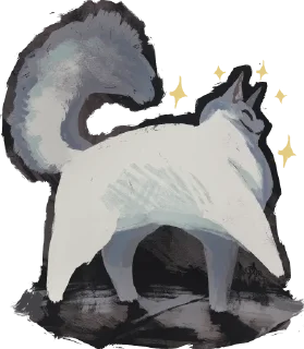 ✨