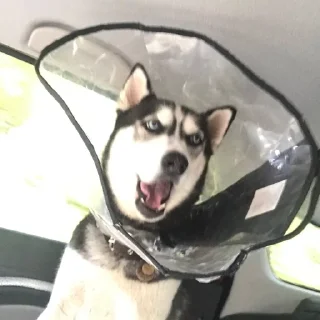 🤬