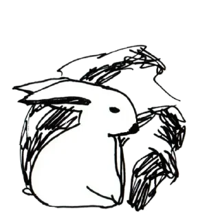 🐰