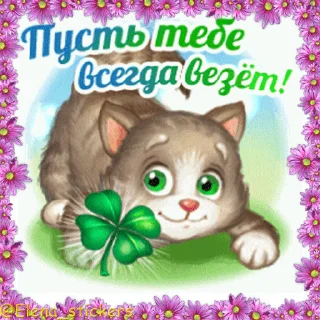 😺