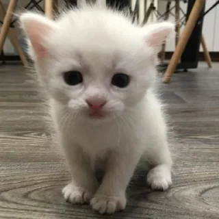 😓