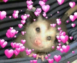 💕