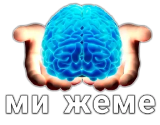 🧠