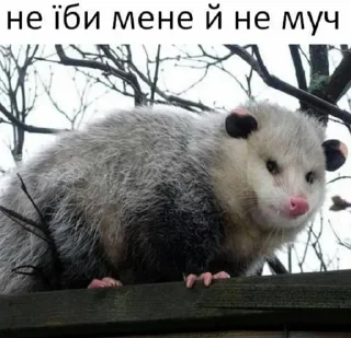 🤕