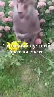 😱