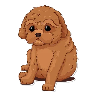 🐶