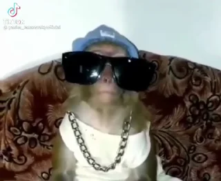 😎
