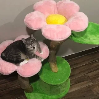 💮