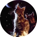🐱