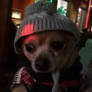 😢