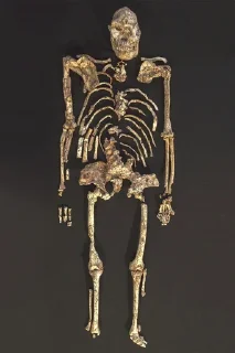 💀