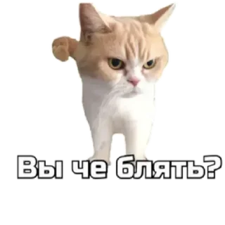 😨