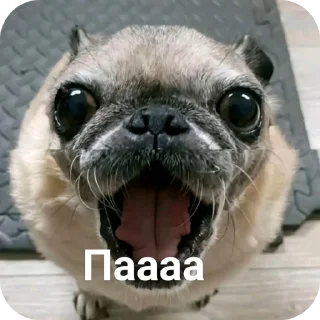 👄