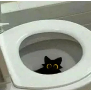 🚽