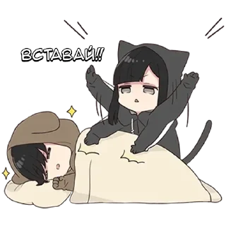 🌟