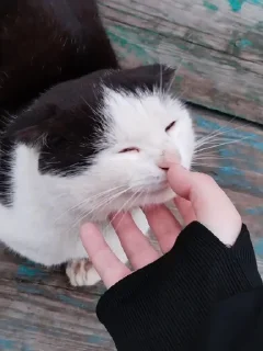 🌟