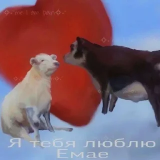 ❤️