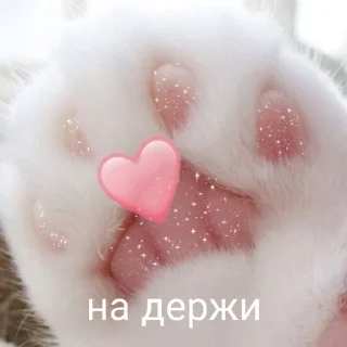 ❤️