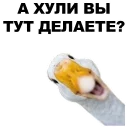 😮