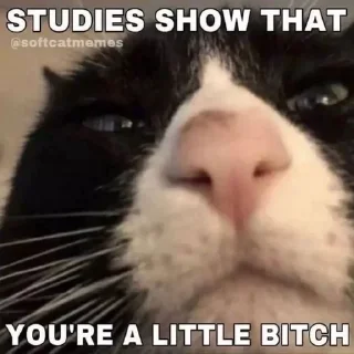 😊