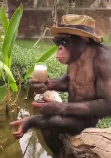 😎
