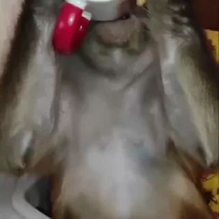 🌟