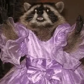🫥