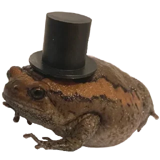 🐸