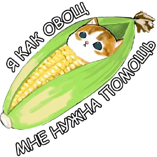 🌽