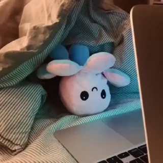 🐙