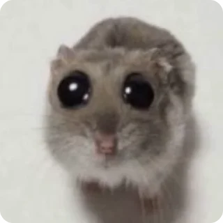 🥺