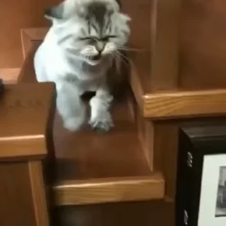 🧶