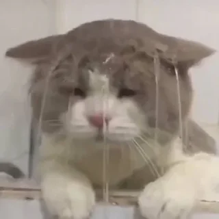 😢
