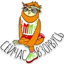 💥